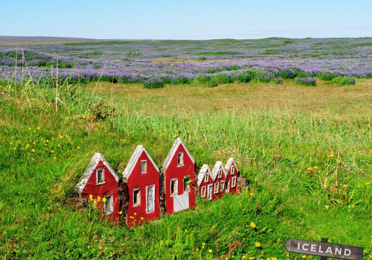 Een rij van zes rode elfenhuisjes, miniaturen van turfhuizen, in een veld in IJsland.